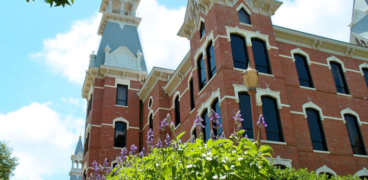 Web漏洞扫描工具